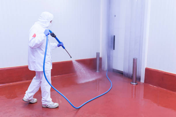 Reliable Mount Carroll, IL Pressure Washing Services Solutions