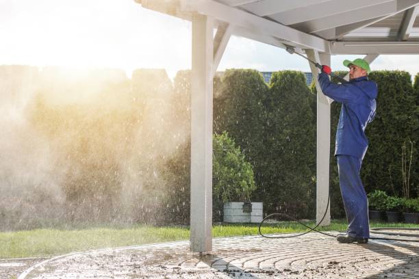 Best Roof Washing  in Mount Carroll, IL